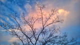 WP_20150108_034.jpg