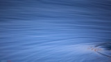IMG_9805.jpg