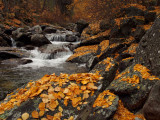 Kootenai Creek - Montana