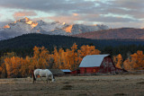 Horse and Barn - Como Peaks - Bitterroot Range - Montana