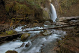 Drift Creek Falls - Oregon