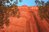 Red Rock Wall - Long Canyon - Utah