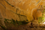Golden Alcove in the Narrows