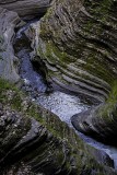 Watkins Glen