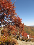 Burke Fall Foliage 290.JPG