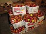 Apple Hill Orchard 050.JPG