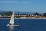DSC_3810.jpg