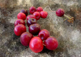 Sweet rosary-332