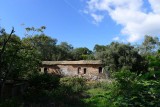 Forgotten farmhouse