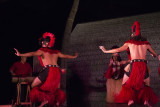 IMG_2895.jpg