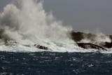 IMG_3214.jpg