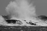 IMG_3216.jpg
