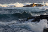 IMG_3599.jpg
