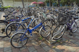 DSC07774_DxO.jpg