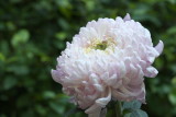 DSCF4797.jpg