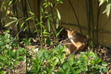DSCF4810.jpg