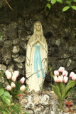 DSCF2245.jpg