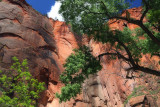 Zion National Park