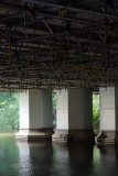 Under the bridge