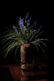 Flash with grid XE2.jpg