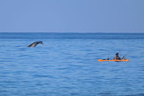 Kayak fisherman and Humpback Whale