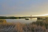 Farmington Bay Wildlife Management Area