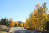 Fall on Cutter Lane, looking east