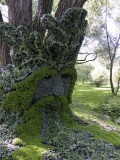 Mosacultures, Jardin botanique, Montral