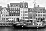 Copenhague / Copenhagen 