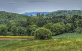 Hilltop View