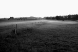 August Mist