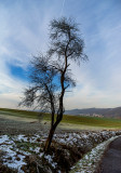Frozen Field