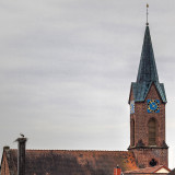 Nest on the Church Roof