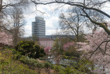 Kaiserslautern in Spring