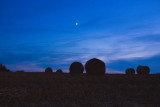 Moonlight Bales