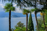 Villa Monastero Gardens