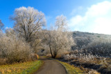 Frosty Path