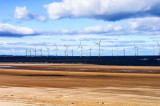 Wind farm at Redcar