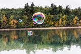 Bubbles on Walden Pond.jpg