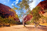 Simpsons Gap