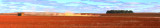 Ploughing the Paddock