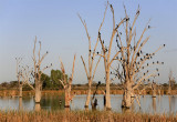 Banks of Lake Bonney_6b 9.jpg