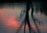 Loch Luna Reserve Sunset_4.jpg