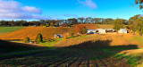 Adelaide Hills in Autumn