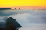 Pre-dawn mist on the Murray River