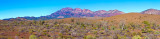 Wilpena Pound