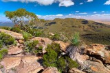 Wilpena Pound