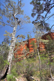 Alligator Gorge5.jpg