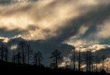 Last Light