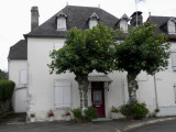 Jolies platanes